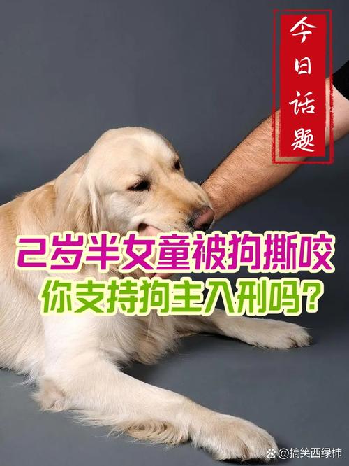 女童被狗扑咬受伤,女儿被小狗咬了没出血怎么办