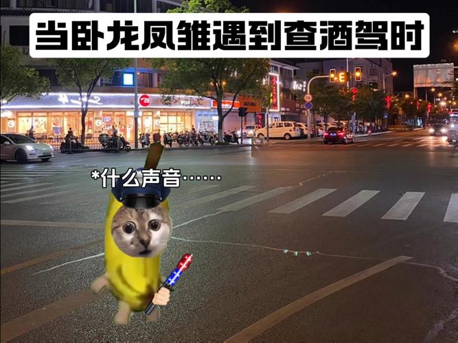 2025年5月16日 第2页