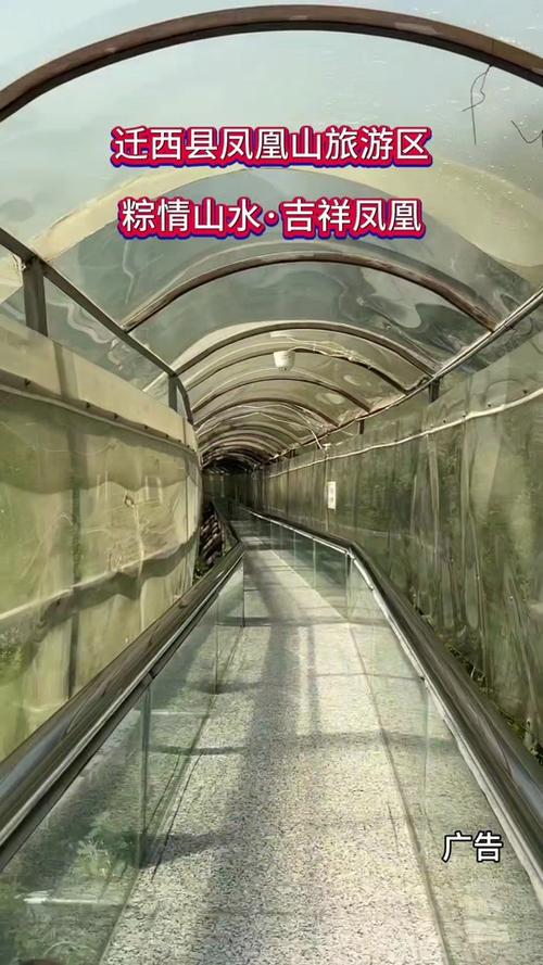 白小姐管家婆四肖八码和凤凰古城百人抢鸭子与凤凰古城百人抢鸭子是真的吗