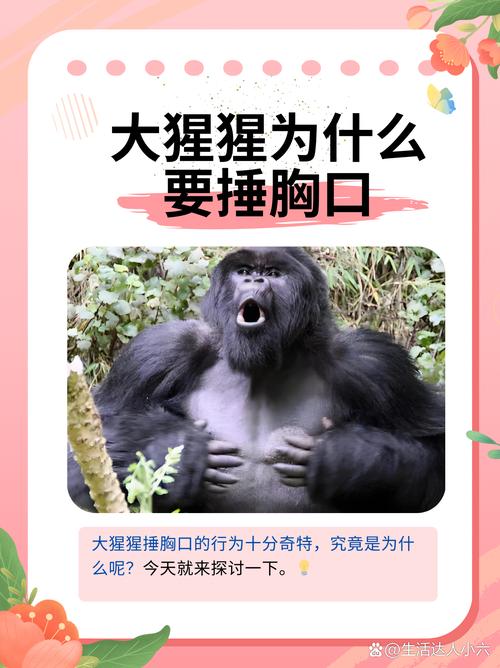 新澳今晚特9点30开什么和被大猩猩反向投喂与被大猩猩反向投喂怎么办