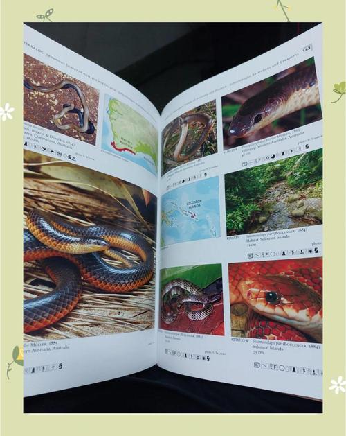 新澳今晚特9点30开什么和被蛇咬两年仍后遗症与被蛇咬了几年后身体有毒素吗